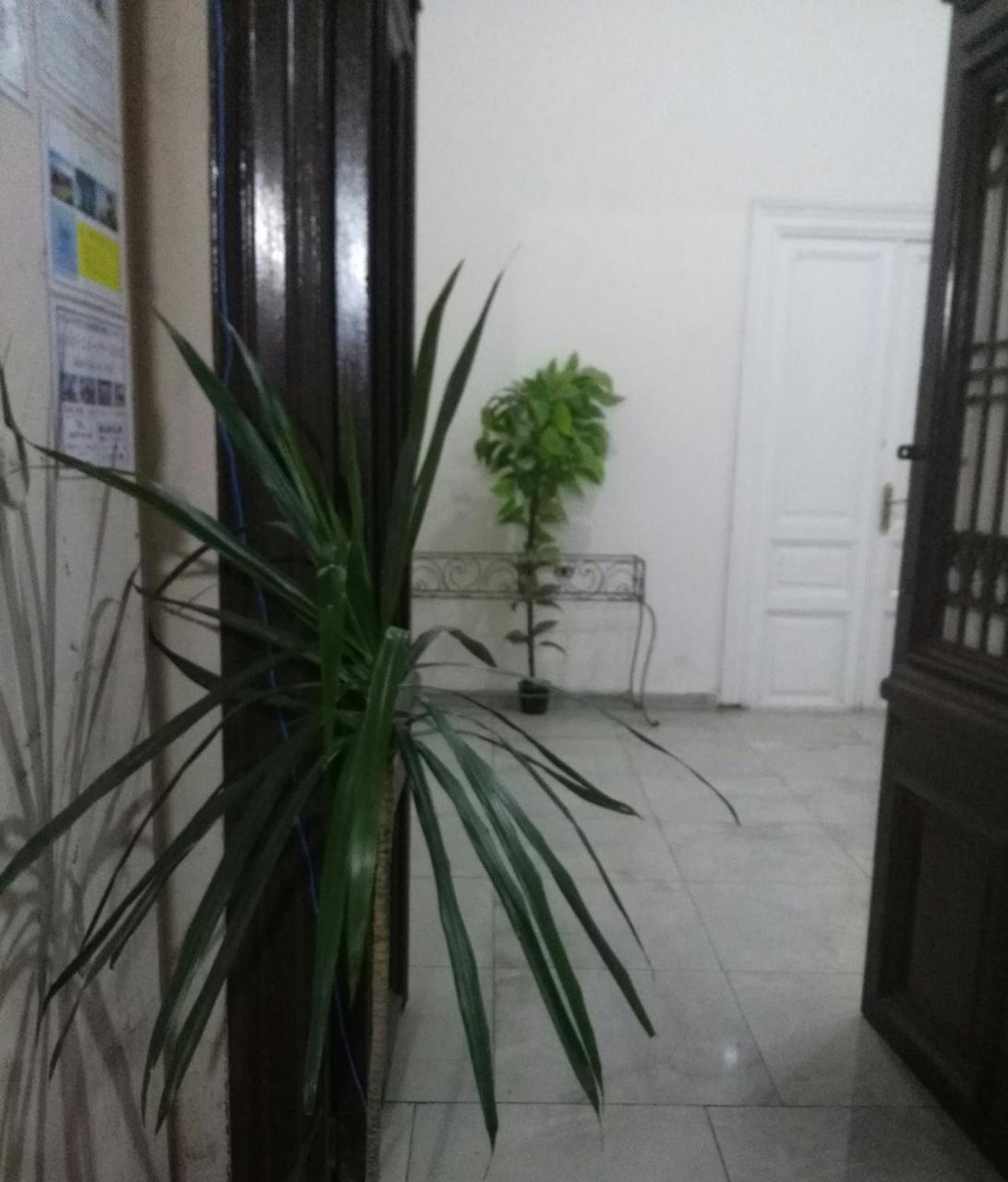 Safary Hostel Kairo Exterior foto